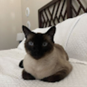 Meet your Posher, Kasandra